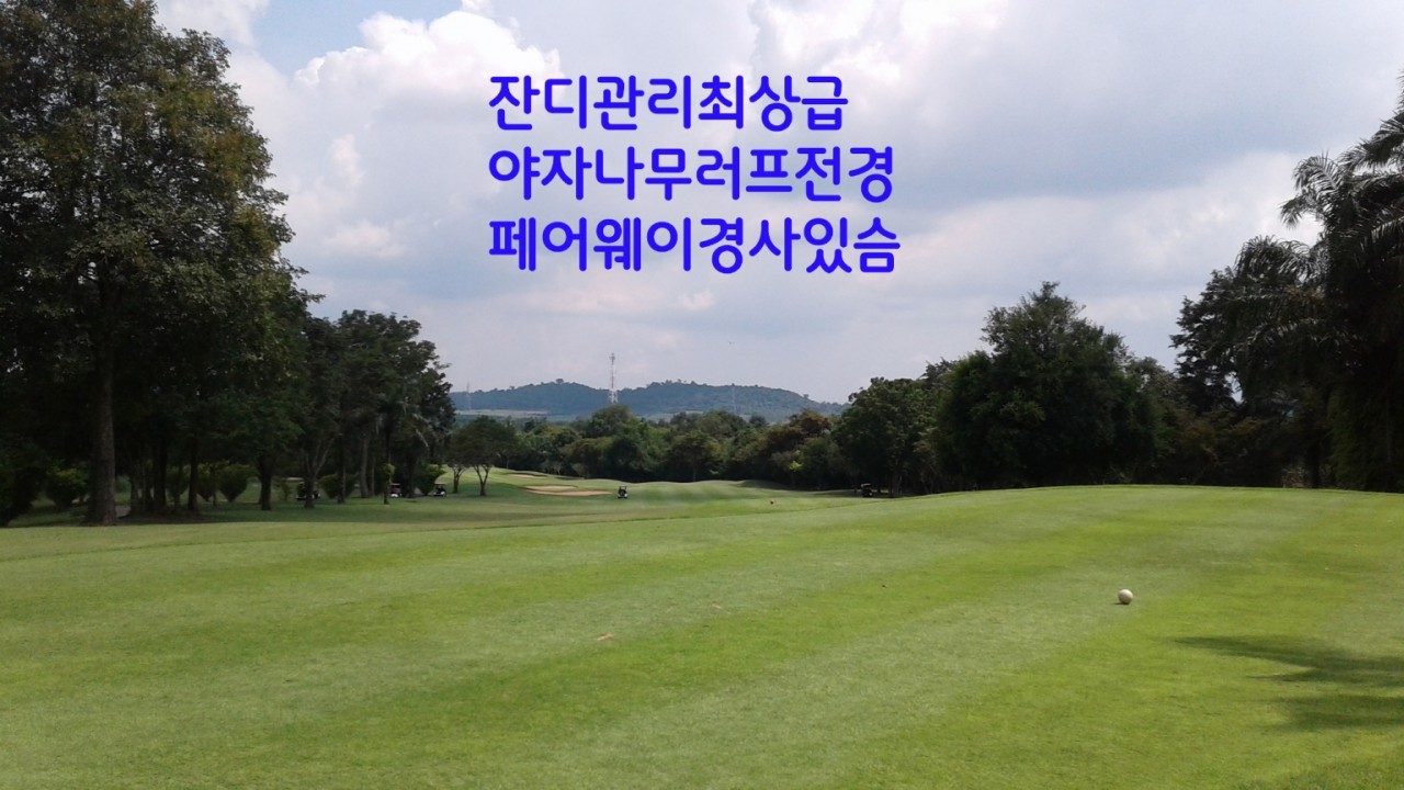 8926a6d8fe089f917c8a16d5bf2d6221_1723687118_6628.jpg